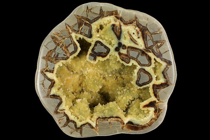 Polished, Yellow Crystal Filled Septarian Geode - Utah #112117